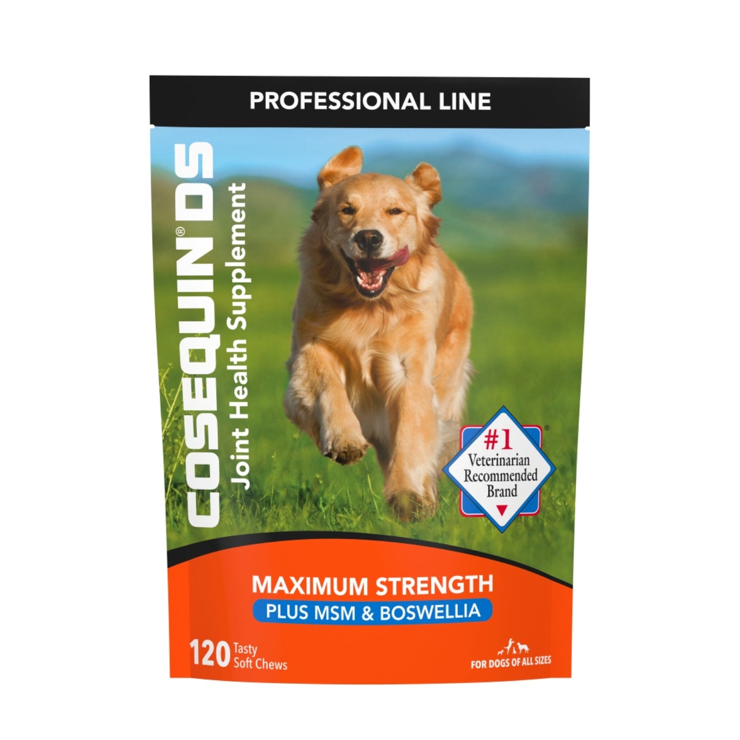 Cosequin Joint Health Supplement with MSM Soft Chews for Dogs β 120 Count