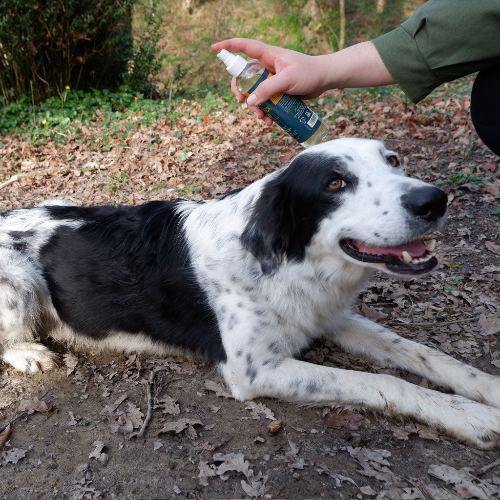 Alzoo Plant-Based Flea & Tick Spray for Dogs & Cats, 8oz