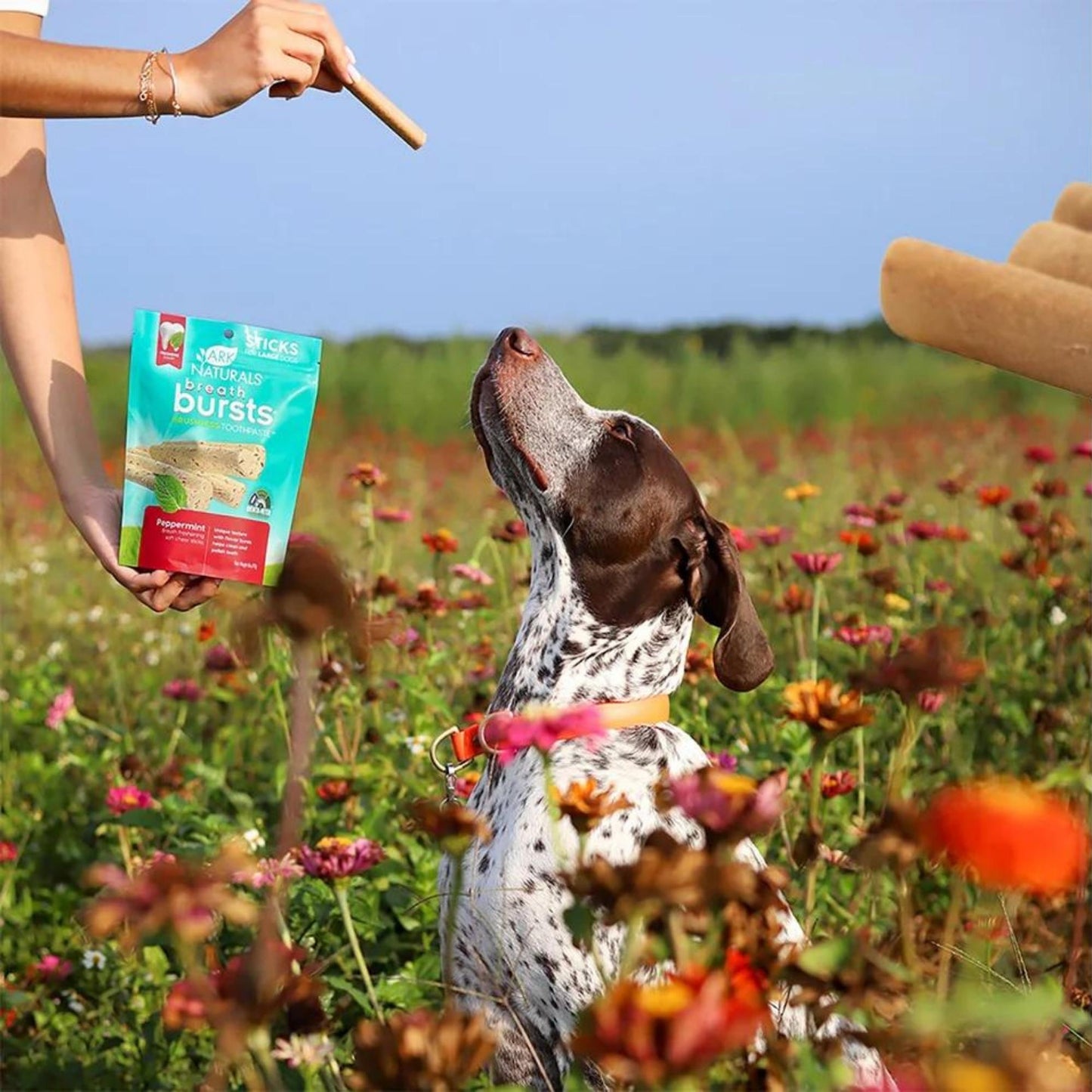 Ark Naturals Breath Bursts Brushless Toothpaste – Peppermint Sticks, 6oz