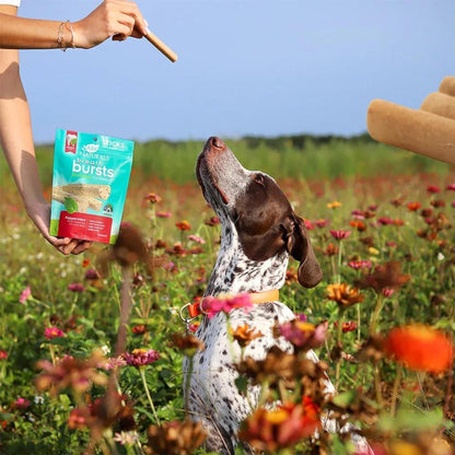 Ark Naturals Breath Bursts Brushless Toothpaste – Peppermint Sticks, 6oz