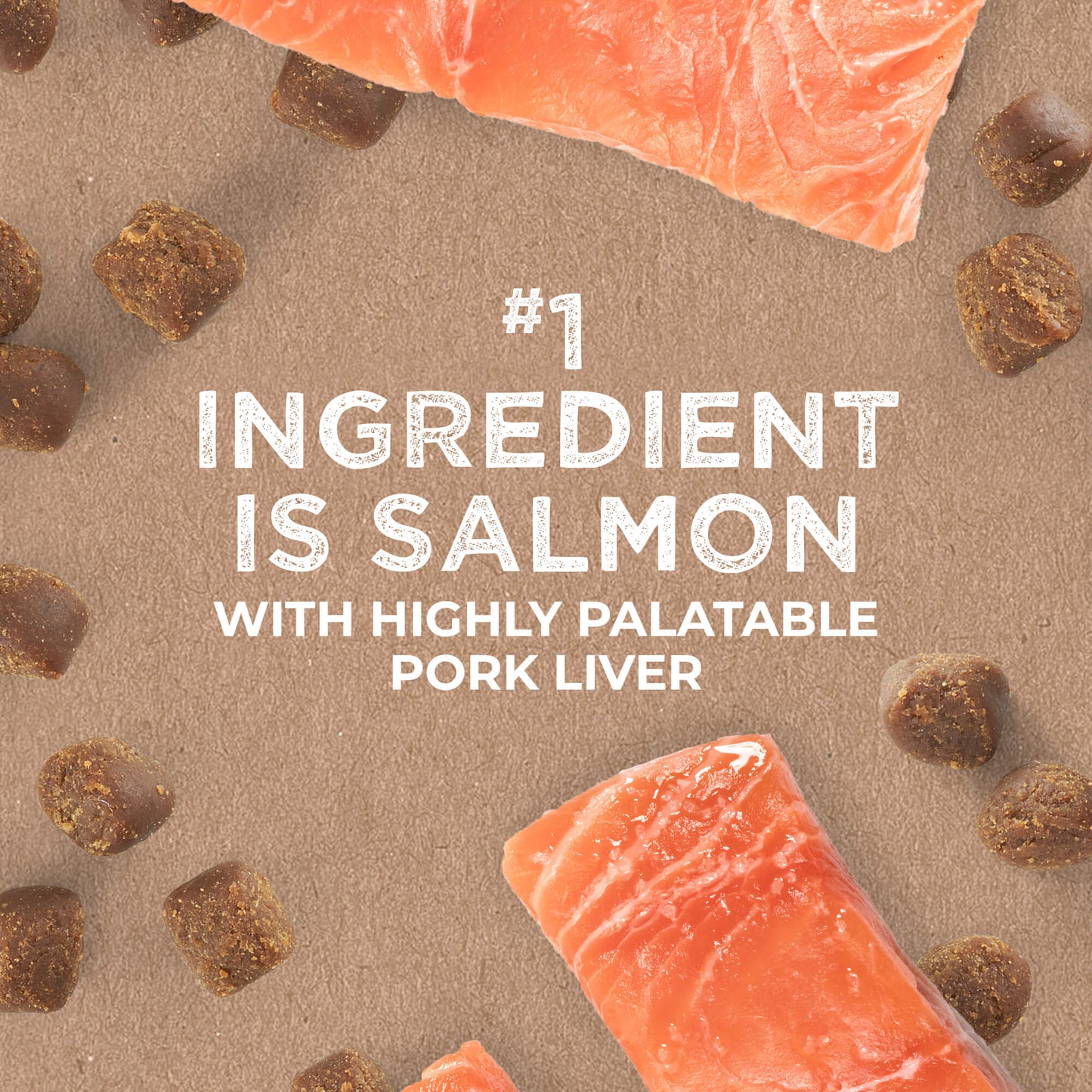 Cloud Star Tricky Trainers Chewy Dog Treats – Salmon Flavor (14oz Bag)