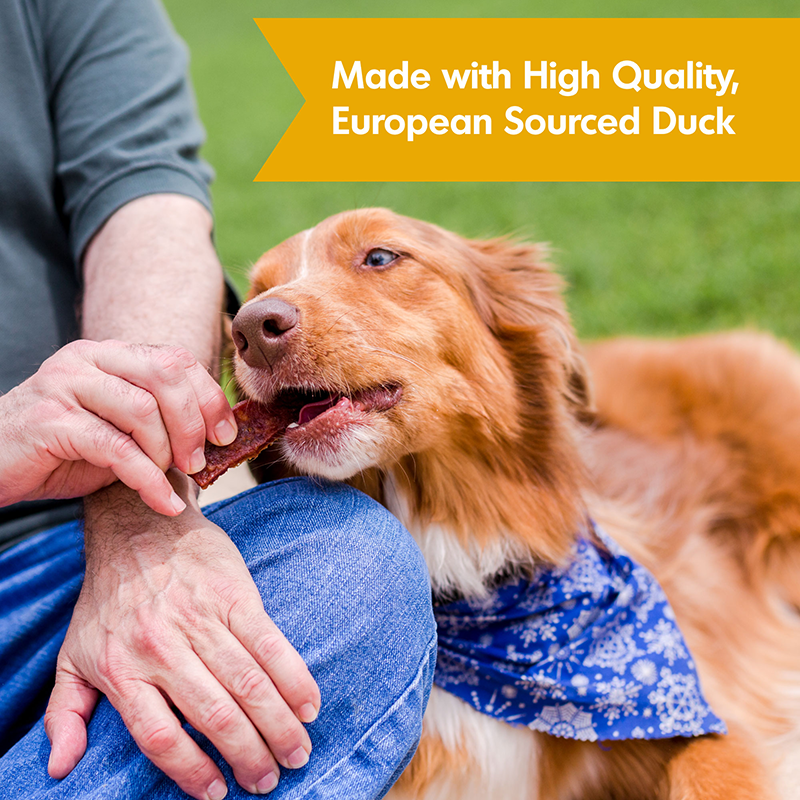 Dogswell Hip & Joint Grain-Free Jerky Dog Treats – Duck (10oz)