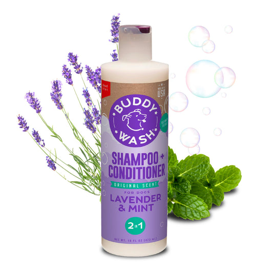 Cloud Star Buddy Wash 2-in-1 Dog Shampoo & Conditioner – Lavender & Mint (16oz Bottle)