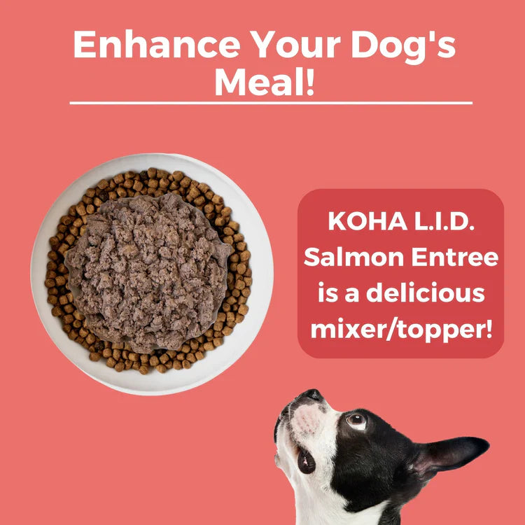 Koha Limited Ingredient Dog Food – Salmon Paté, Grain-Free (13oz, Case of 12)