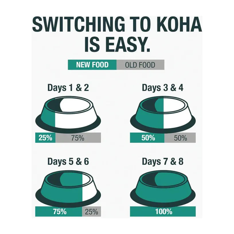 Koha Limited Ingredient Dog Food – Salmon Paté, Grain-Free (13oz, Case of 12)