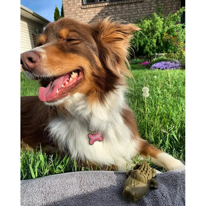 Whimzees Alligators Dental Chews – Small (12.7oz Bag)