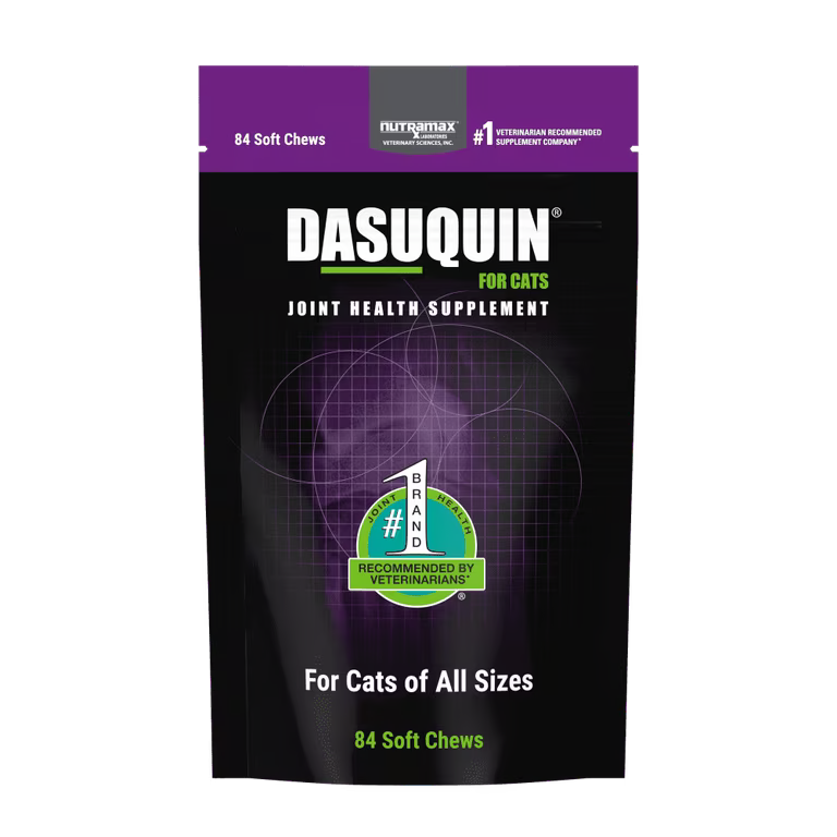 Nutramax Dasuquin Joint Health Soft Chews for Cats – 84 Count